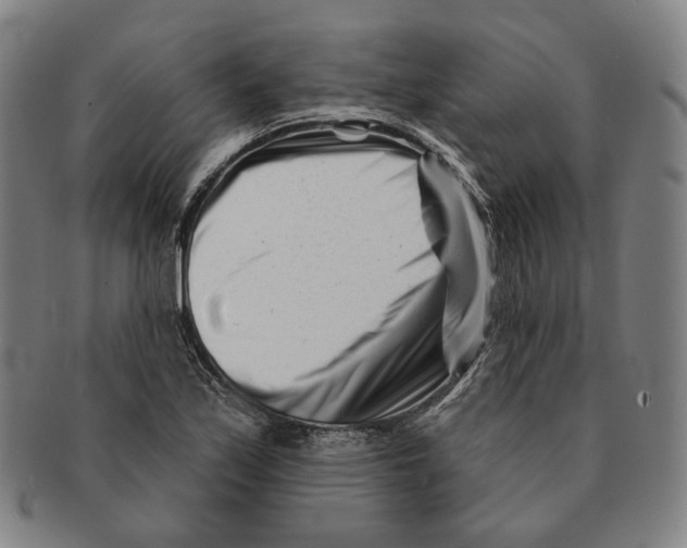 X0000090971171200708301219