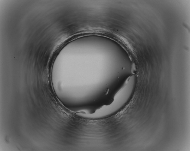 X0000090971172200708301219