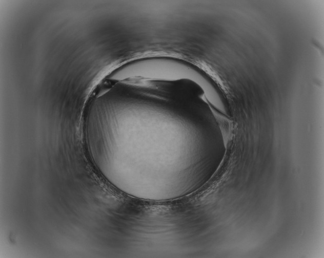 X0000090971173200708301219