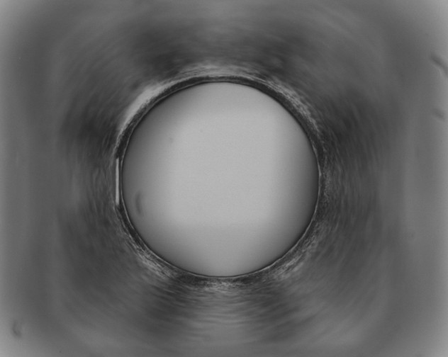 X0000090971175200708301219