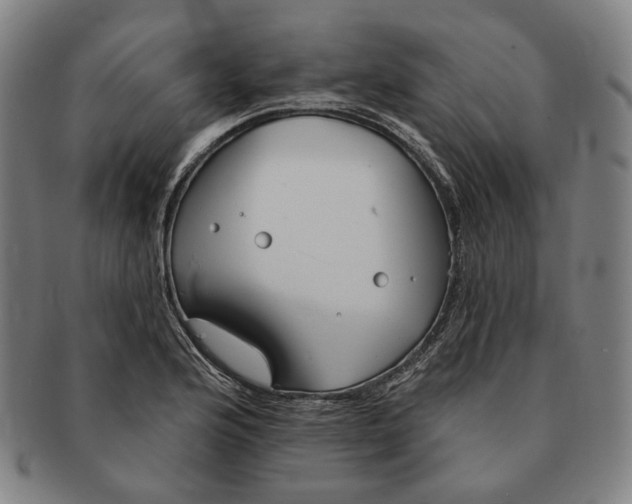 X0000090971176200708301219