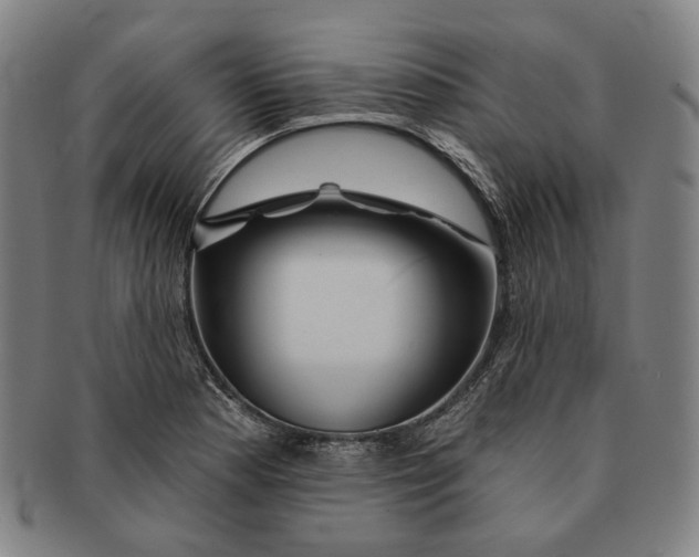 X0000090971177200708301219