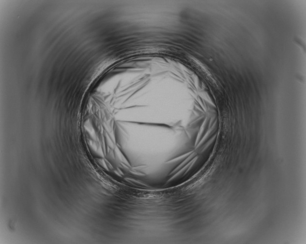 X0000090971178200708301219