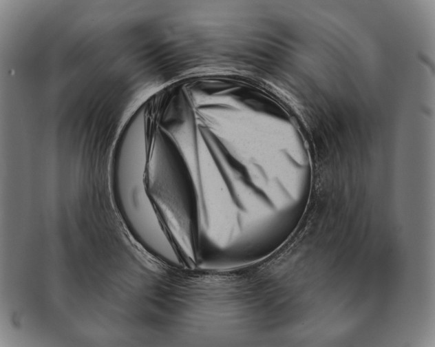 X0000090971179200708301219