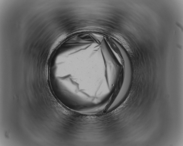 X0000090971180200708301219