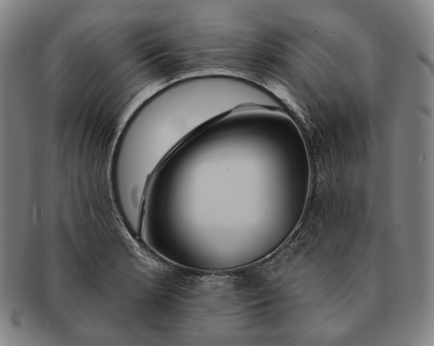 X0000090971181200708301219