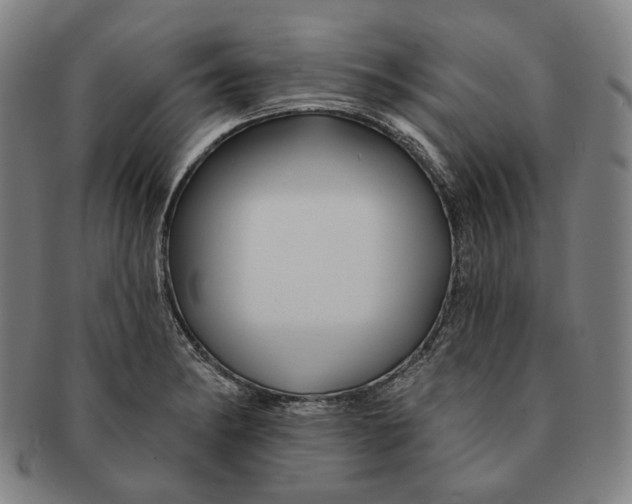 X0000090971182200708301219