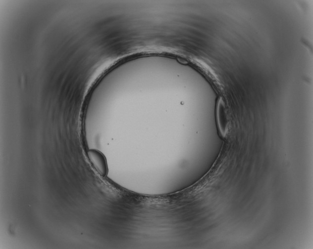 X0000090971183200708301219