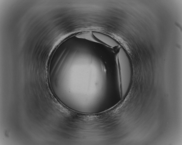 X0000090971184200708301219