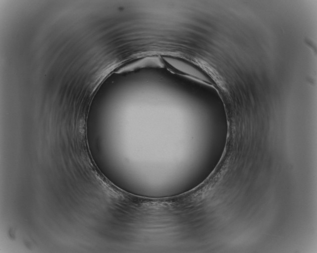 X0000090971185200708301219