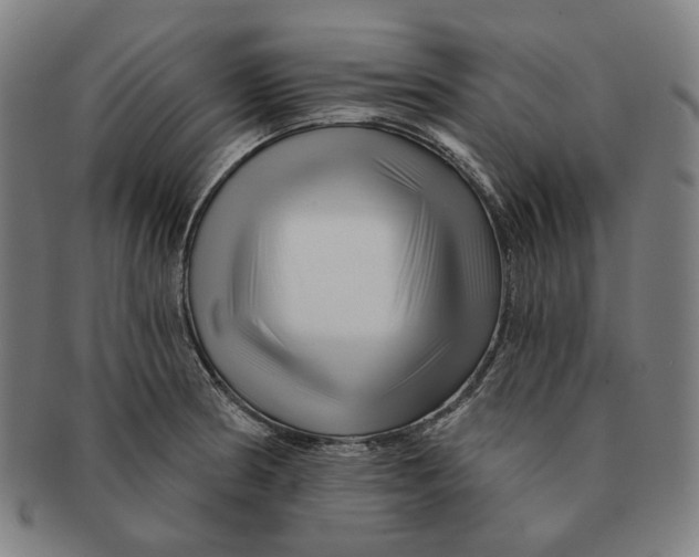 X0000090971186200708301219