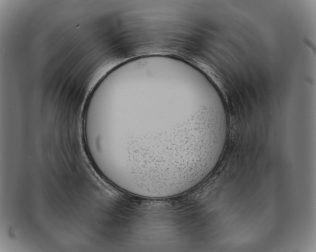 X0000090971187200708301219