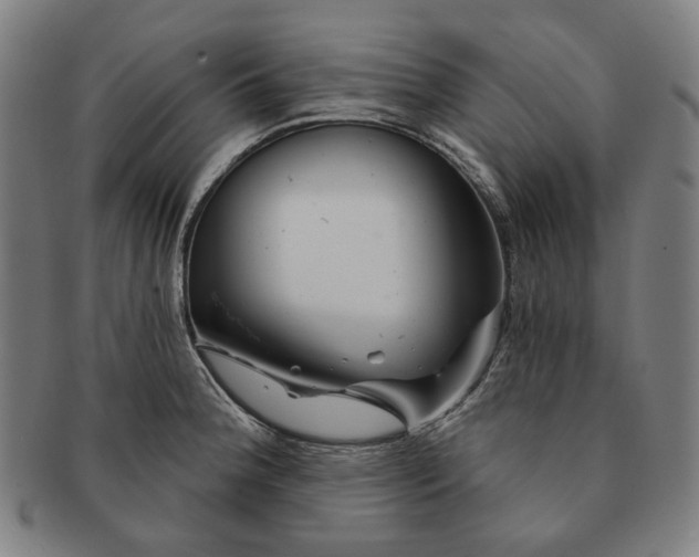 X0000090971188200708301219