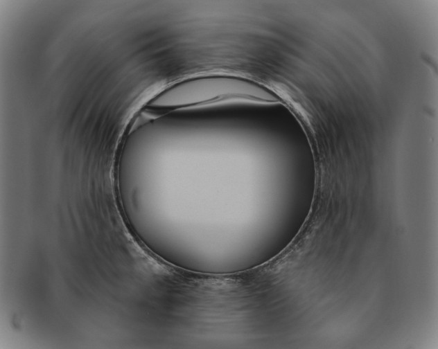 X0000090971189200708301219