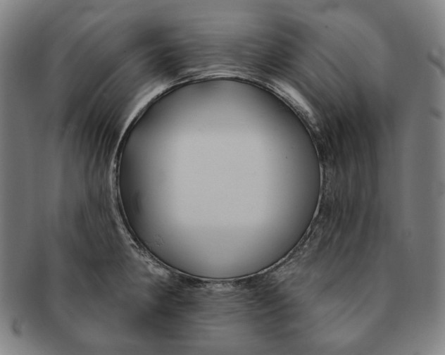 X0000090971190200708301219