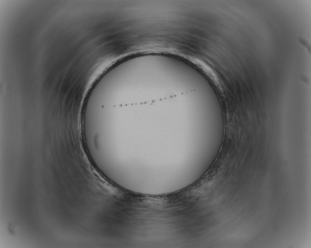 X0000090971191200708301219