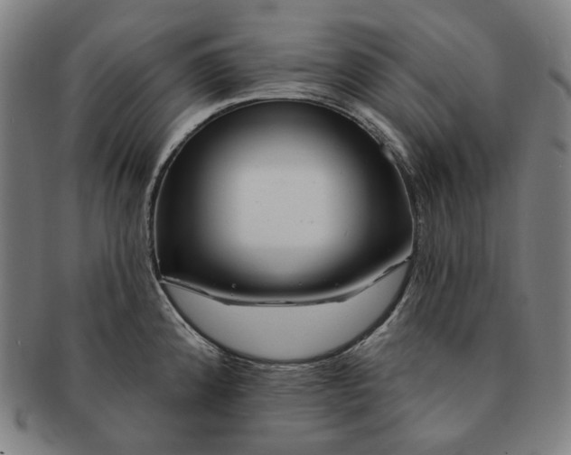 X0000090971192200708301219