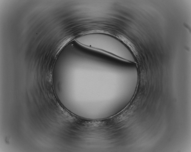 X0000090971193200708301219