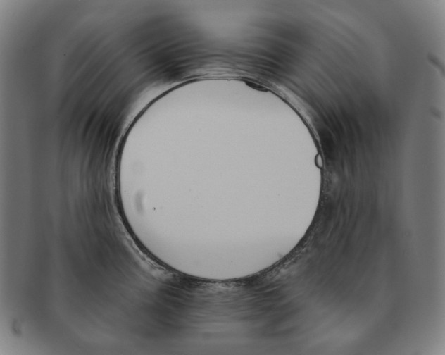 X0000090971195200708301219