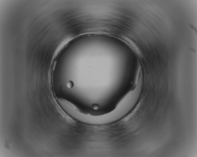 X0000090971196200708301219