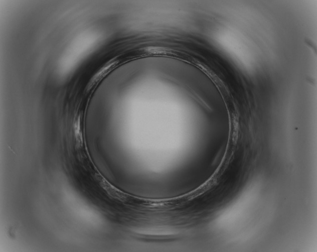 X0000090971198200708301219