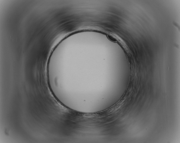 X0000090971199200708301219