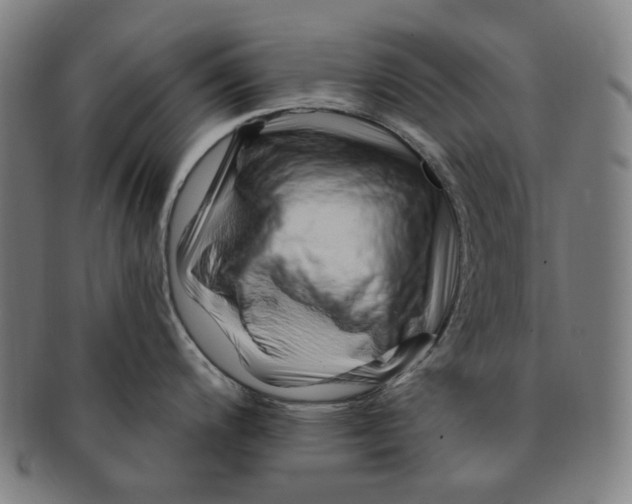 X0000090971200200708301219