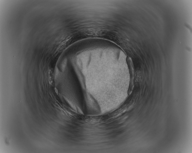 X0000090971202200708301218