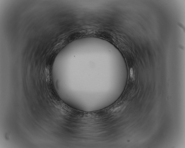 X0000090971203200708301218