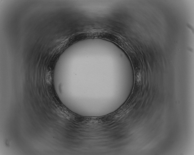 X0000090971204200708301218