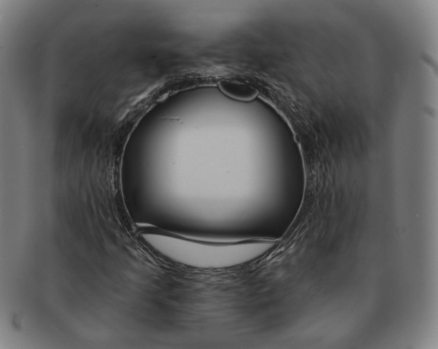 X0000090971205200708301218