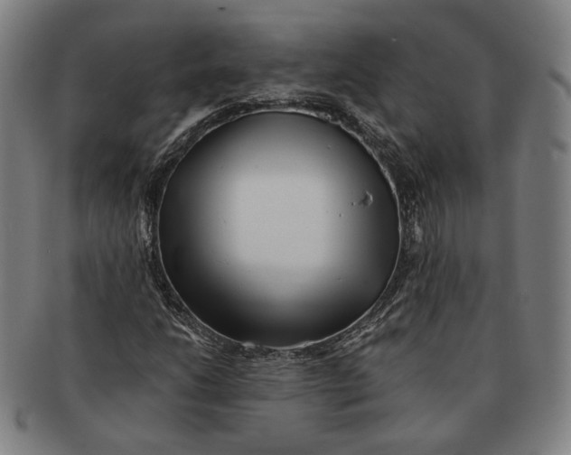 X0000090971206200708301218