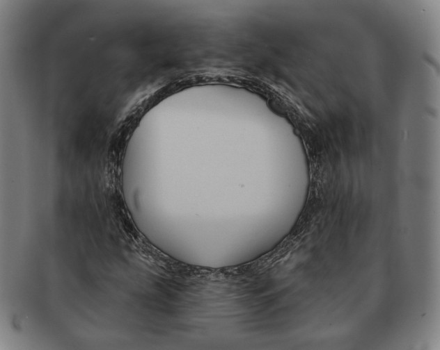 X0000090971207200708301218