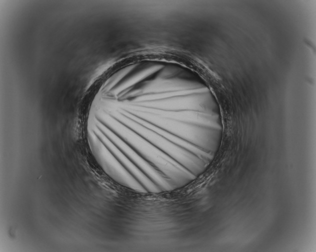 X0000090971208200708301218