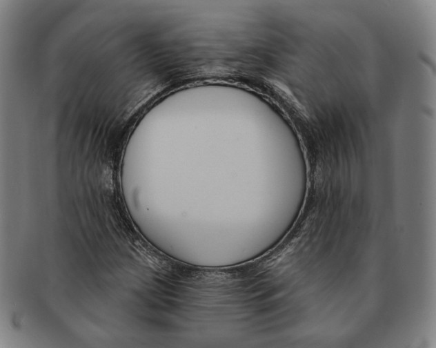 X0000090971209200708301218