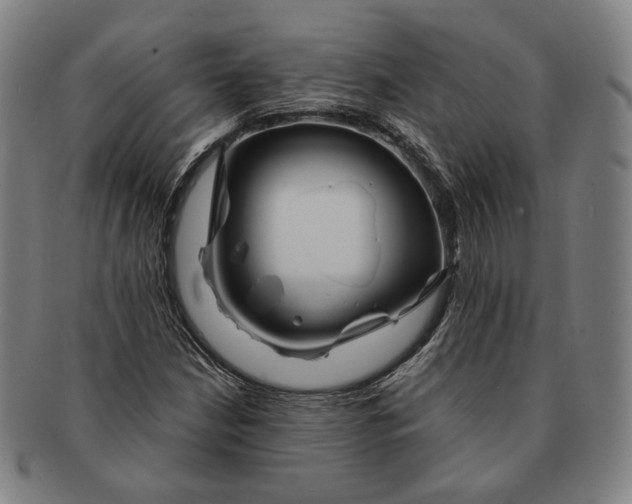 X0000090971210200708301218