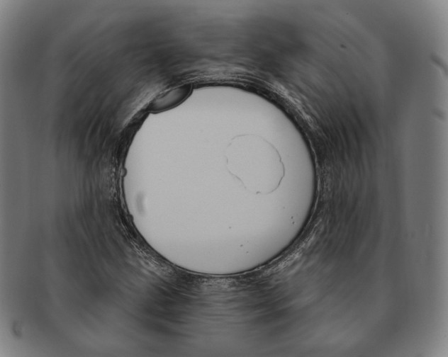 X0000090971211200708301218