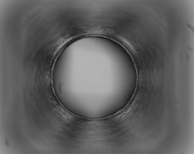 X0000090971212200708301218