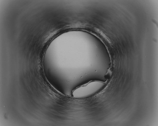 X0000090971213200708301218