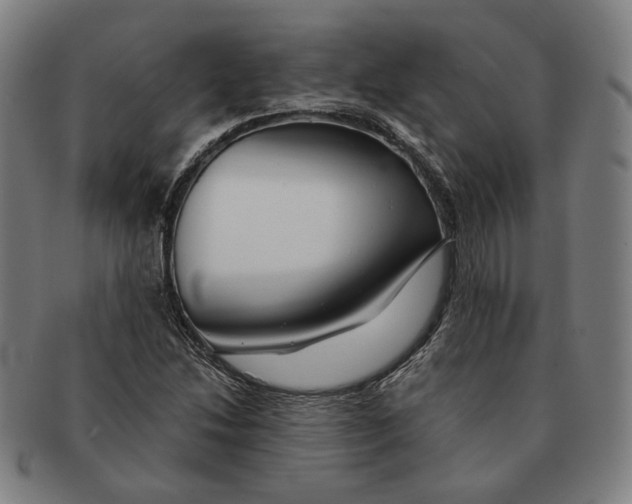 X0000090971214200708301218