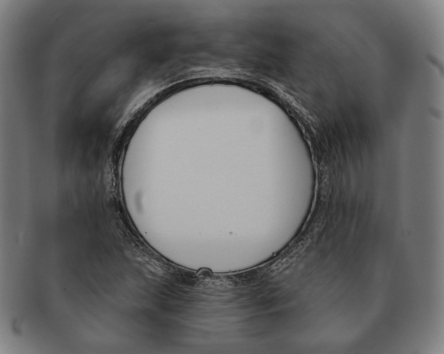 X0000090971215200708301218