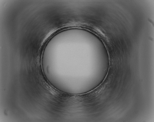 X0000090971216200708301218