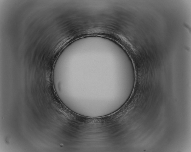 X0000090971217200708301218