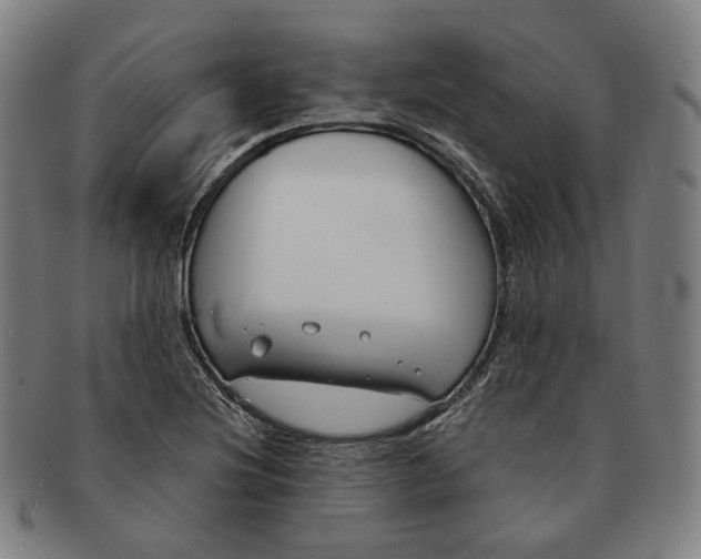 X0000090971220200708301218