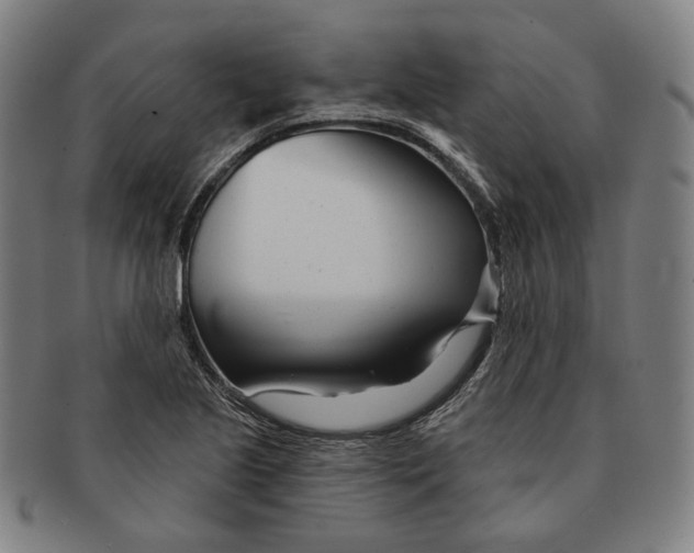 X0000090971221200708301218