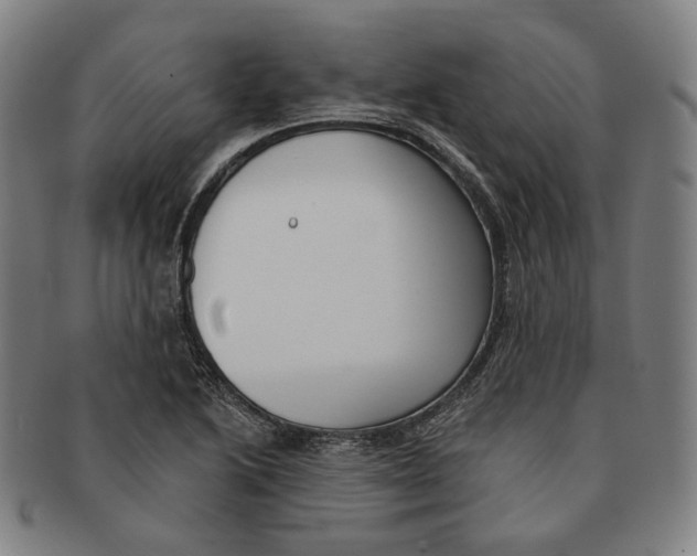 X0000090971222200708301218