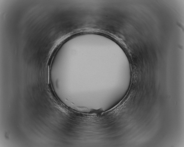 X0000090971223200708301218