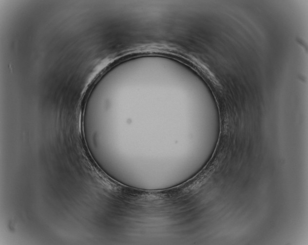 X0000090971224200708301218