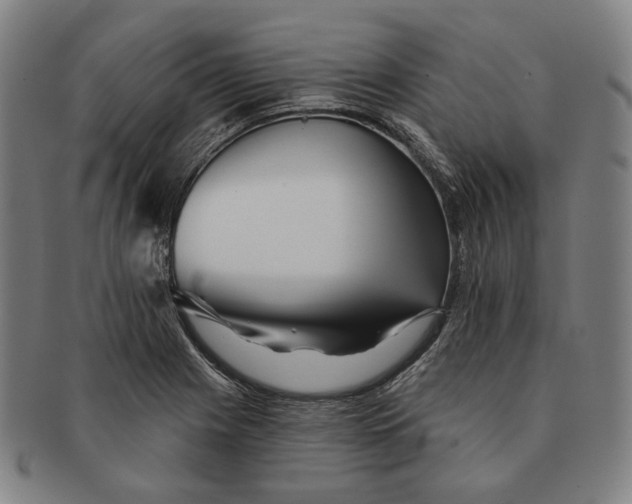 X0000090971225200708301218