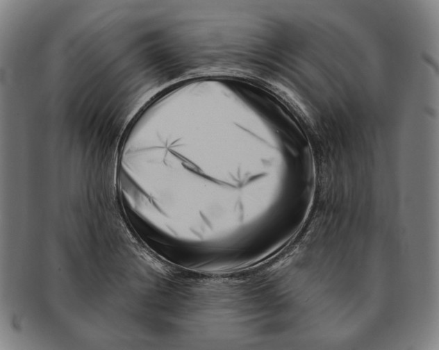 X0000090971228200708301218